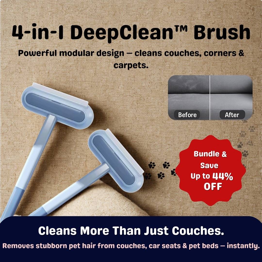 4-in-1 DeepClean pet hair remover brush, removing pet hair from couches, beds, furniture, car seats etc.