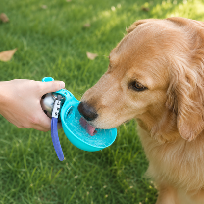 Dog drinking from PawMigo portable water bottle in a park