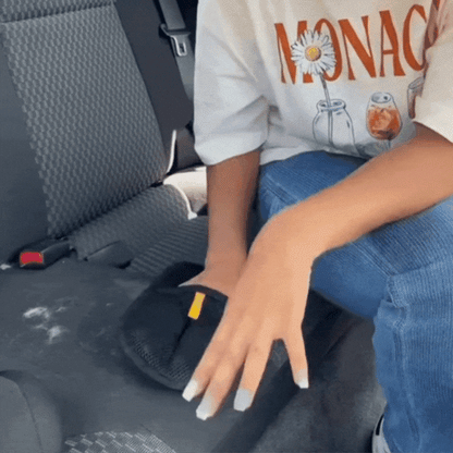 FurMate is cleaning car seat efficiently