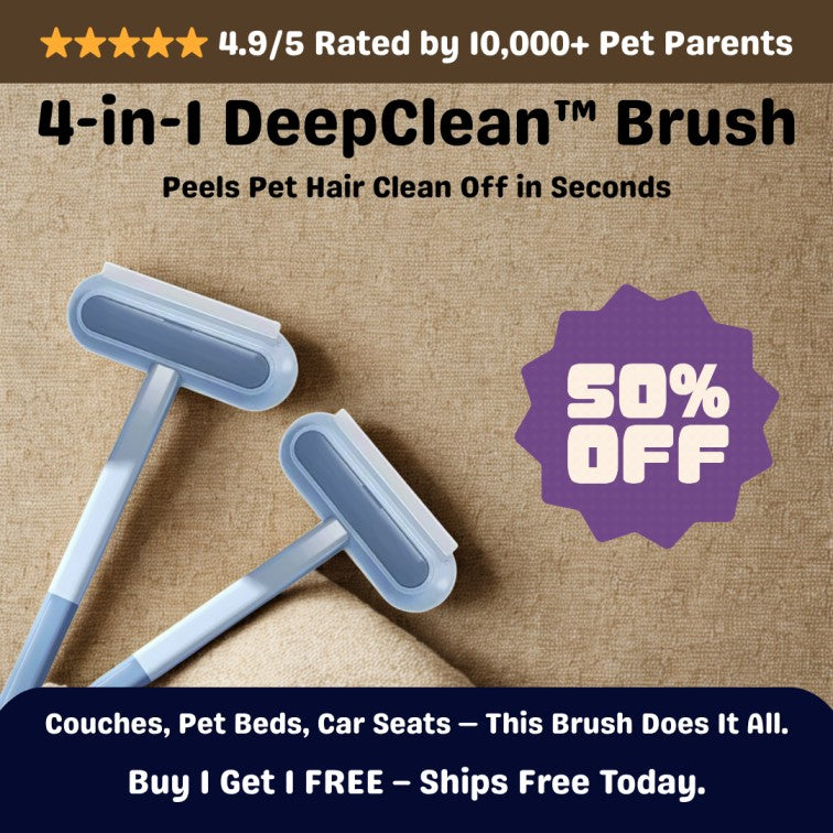 4-in-1 DeepClean pet hair remover brush removing fur from beige couch