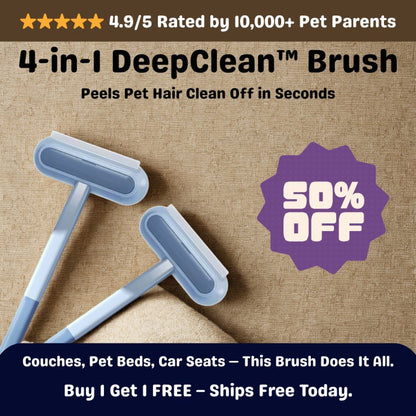 4-in-1 DeepClean pet hair remover brush removing fur from beige couch