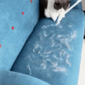 4-in-1 DeepClean pet hair brush working on a couch